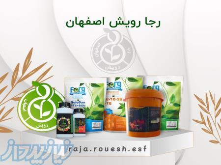 فروش سموم و کود کشاورزی رجا رویش