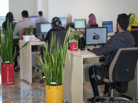 تحول کسب‌وکار شما با تیم حرفه‌ای سئو دارکوب