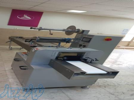 دستگاه بسته بندی پیلوپک B491