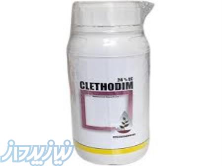 فروش سم علف کش کلتودیم 