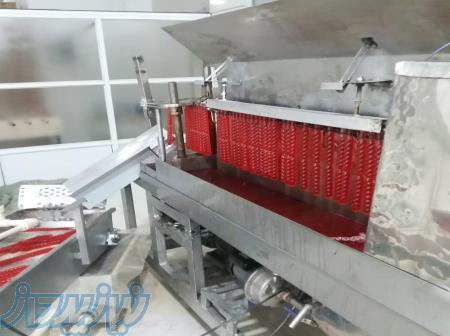 خط تولید نوشمک  N69 