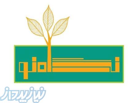دکتر ایران صادقی – مشاور، روانشناس در تهران 
