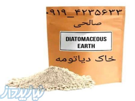 خاک دیاتومه 