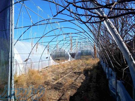 سازه گلخانه ۳۰۰ متری 