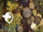 آموزش پرورش گیاهان دارویی 
