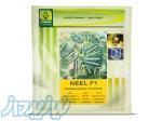 فروش بهترین بذر خیار نیل (NEEL F1) 