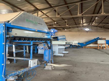 خط سورت میوه B328 