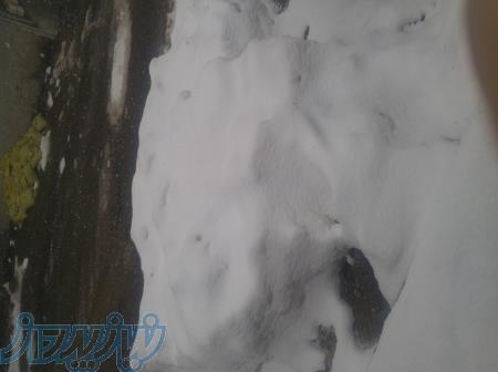 فروش قبر در بهشت زهرا 