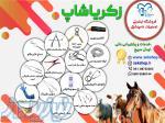 زکریاشاپ اولین فروشگاه تخصصی تجهیزات پزشکی و دامپزشکی 