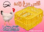 فروش سبد مرغ زنده 