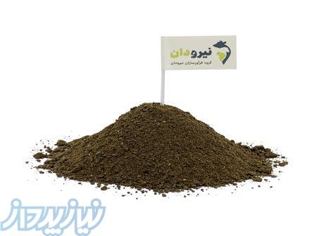 پودر گوشت دامی 