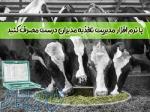 نرم افزار تغذیه (گاوشیری   دام سبک) 