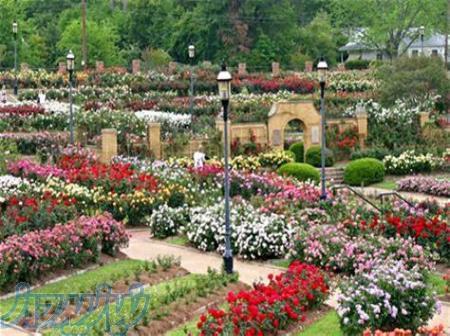 مشاوره و طراحی احداث باغ و نهالستان و کشاورزی پرماکالچر و حرفه ای و طبیعی 