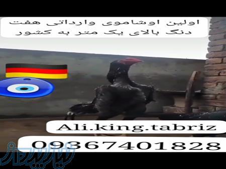 اوشامو آلمانی وارداتی هفت دنگ 