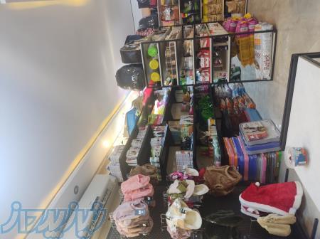 پت شاپ بامی پت 