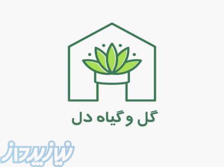 کارمند اداری خانم در شرکت گل فروشی 