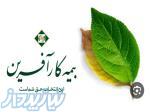 بیمه کارآفرین 