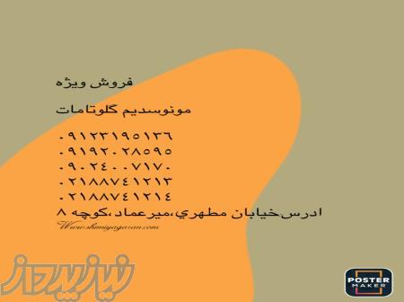 مونوسدیم گلوتامات 