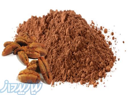 فروش پودر هسته خرما 