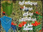 فروش سبد 20کیلویی ، تولید سبد حمل گوجه ، سبد حمال