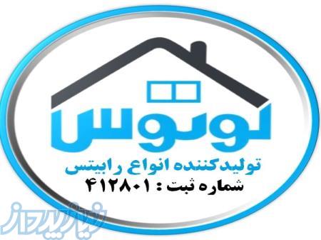 رابیتس لوتوس 