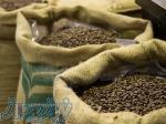 تولید و فروش قهوه برشته شده 