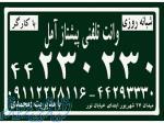 وانت تلفنی پیشتاز