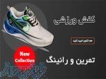 کفش تخصصی ورزشی 