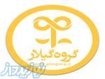طراحی سایت فروشگاهی، شرکتی، شخصی، خبری