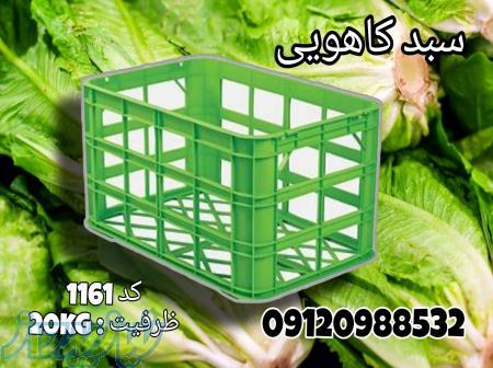 سبد کاهو،سبد فلفل دلمه،سبد سورتینگ 