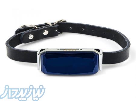 قیمت جی پی اس حیوانات GPS Pet G12P ( جی پی اس گربه و سگ اوگارد )