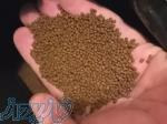 شرکت پخش غذای کامل مخصوص ماهی کوی