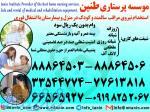 استخدام پرستار سالمند بیمار کودک در منزل 
