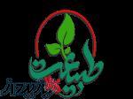 فروشگاه طبیعت کالا 