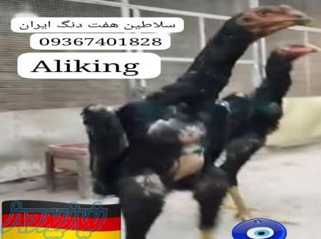 اوشامو آلمانی واساکایی ژاپنی شش و هفت دنگ