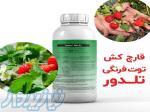 خرید عمده سم قارچ کش تلدور Teldor با قیمت مناسب برای پرورش توت فرنگی 