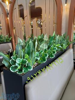 طراحی و اجرای فضای سبز محیط داخلی مسکونی و اداری با گلها و گیاهان مصنوعی