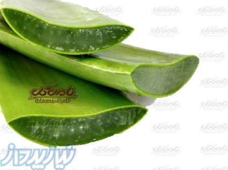 آلوئه ورا عمده، پرژل و آبدار عطاری علی بابا علی فیض مند 