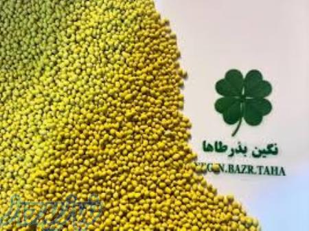 بذر یونجه روکشدار