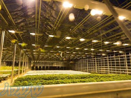 شرکت گلخانه سازی گل افروز 