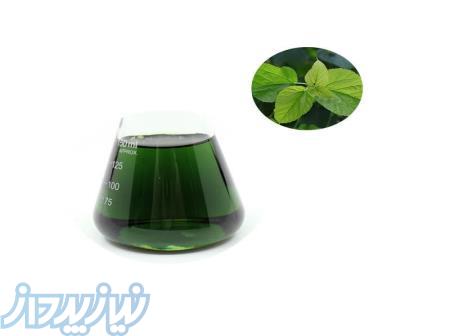 رنگ خوراکی و طبیعی کلروفیل در آرد سوخاری 