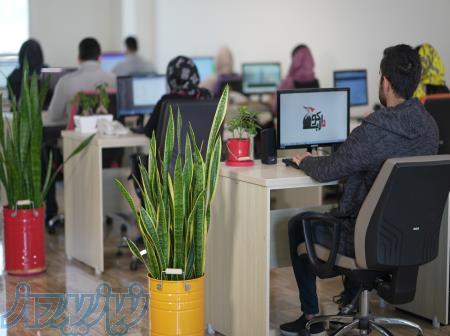 با دارکوب وب سایت حرفه ای و زیبای خودتو داشته باش