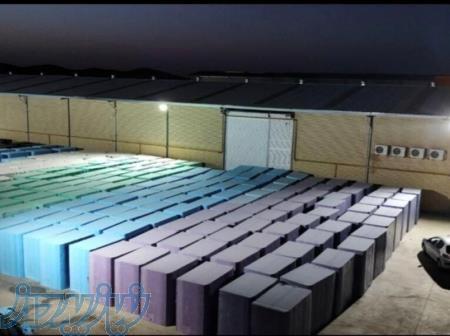 نمایندگی پخش فوم پلی اتیلن تشکی و اسفنج 