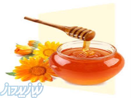 عسل چهل گیاه ارگانیک 