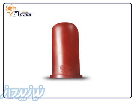 سرپستانک گوساله 