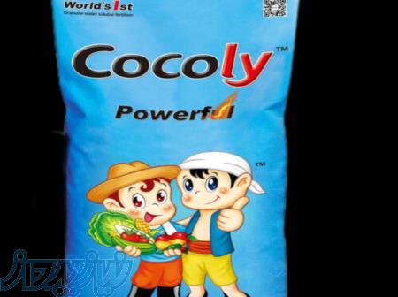 کود کامل کوکولی- کود کوکولی 