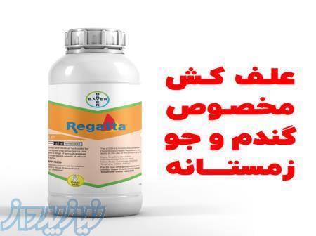 سفارش علف‌کش قوی ریگاتتا Regatta با تأثیر سریع روی علف‌های هرز گندم و جو 