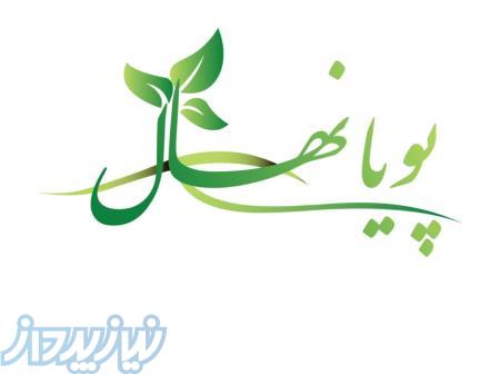 فروش انواع نهال میوه 
