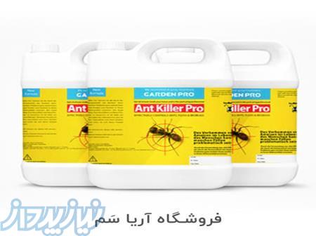 خرید سم مورچه - سم مورچه قوی 