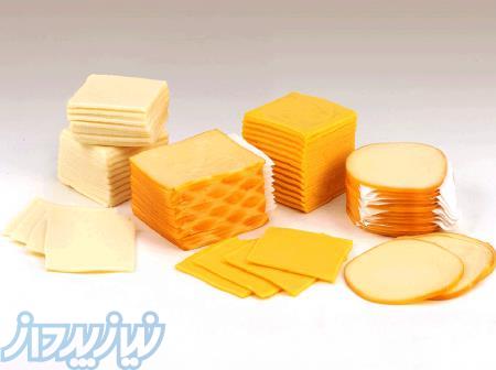 رنگ خوراکی و طبیعی آناتو مجاز در استفاده انواع پنیر پروسس 